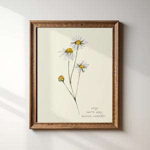 April Daisy Illustration Art Print: Vintage Floral Wall Decor, Digital Download, Birthflower Gift, Aesthetic Art Print