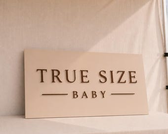Custom Size and Shape Acrylic Business Sign, Modern Brand Plaque, Office Reception Decor, Market signs