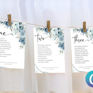 Tabella dei posti a sedere sospesi per matrimoni di grandi dimensioni blu polvere, modello di tela floreale di peonie blu polvere, elegante suite minimalista semplice e moderna romantica