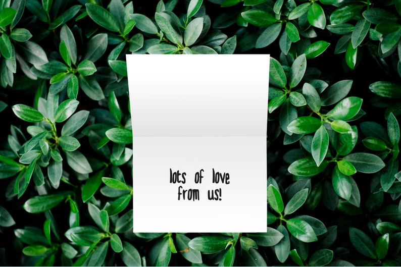 May include: A white card with the text "lots of love from us!" written in black ink. The card is lying on a bed of green leaves.