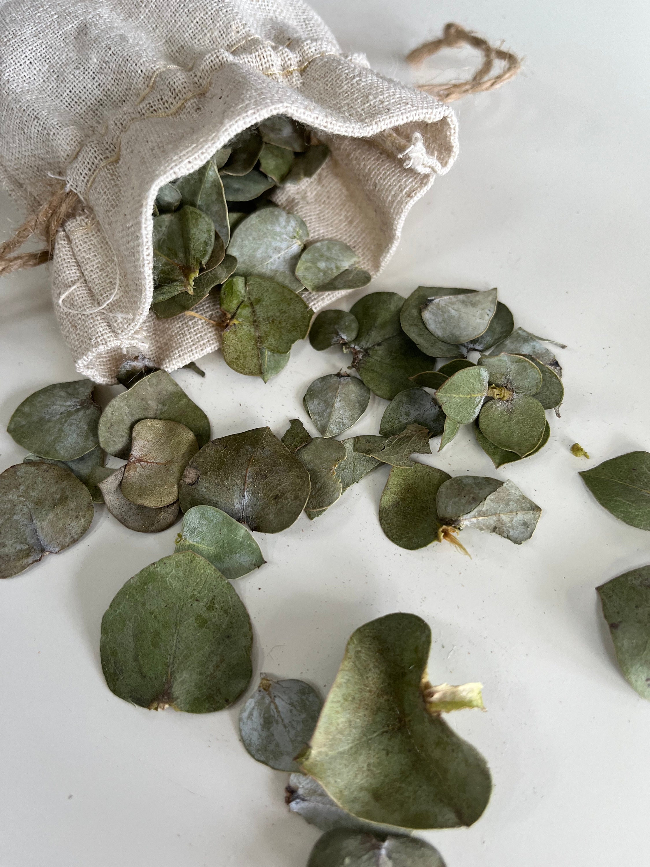 Eucalyptus Shower / Bath Pouches Set of 3 Etsy