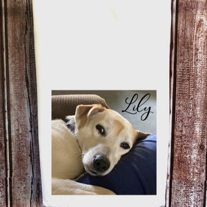 May include: A white kitchen towel with a photo of a dog named "Lily" printed on it. The dog is a white and tan Jack Russell Terrier, lying on a blue and brown cushion.