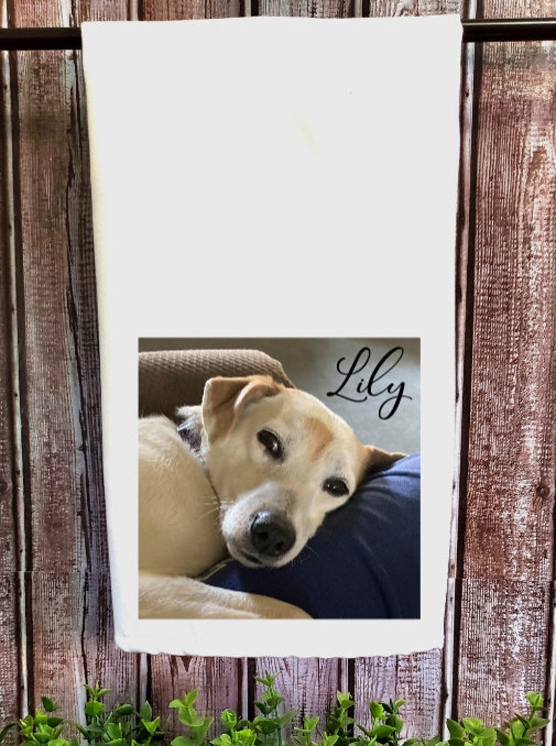 May include: A white kitchen towel with a photo of a dog named "Lily" printed on it. The dog is a white and tan Jack Russell Terrier, lying on a blue and brown cushion.