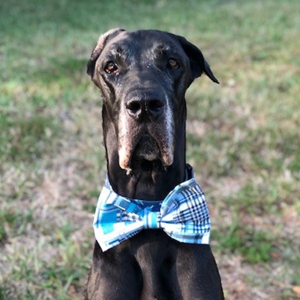Blue Plaid Dog Bow Tie, Large Dog Bow Ties for Dogs, Large Dog Accessory, Custom Pet Bows and ties fits Small Medium to Extra Large Pets