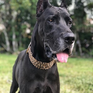 Dog Collar extra wide 2 inch| Large to Extra Large Collar in Cheetah| Designer Style Collar| Mastiff| Great Dane| Custom Collar| Buckle