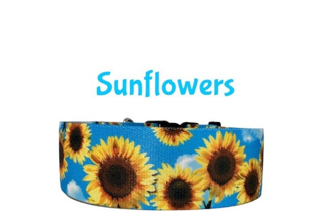 Sunflowers 2 Inch Wide Dog Collar Mastiff Great Dane Large Breed Collar
