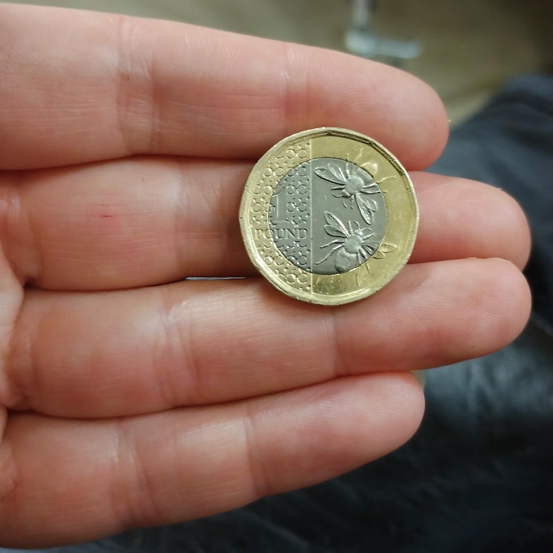 Bee Coin Gold Silver - Etsy UK