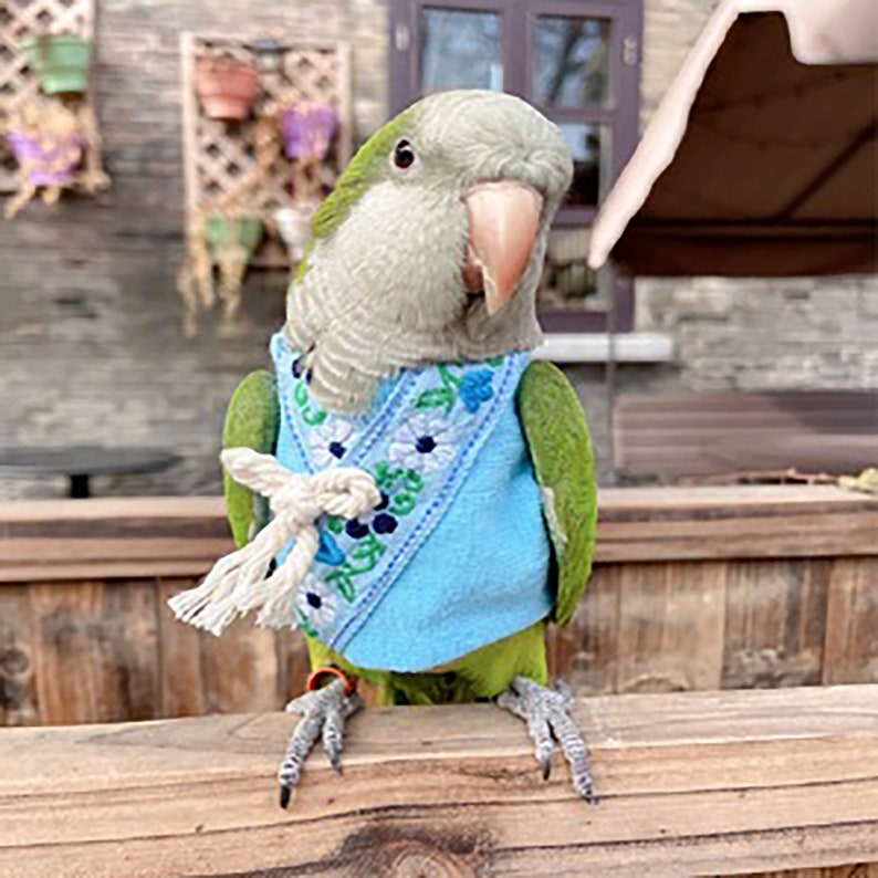 Cockatiel Parrot Clothes,Parrot Bird Flight Suit,Pet Clothes,Spring And Autumn Parrot Couple Clothes,Parrot Pink Clothes