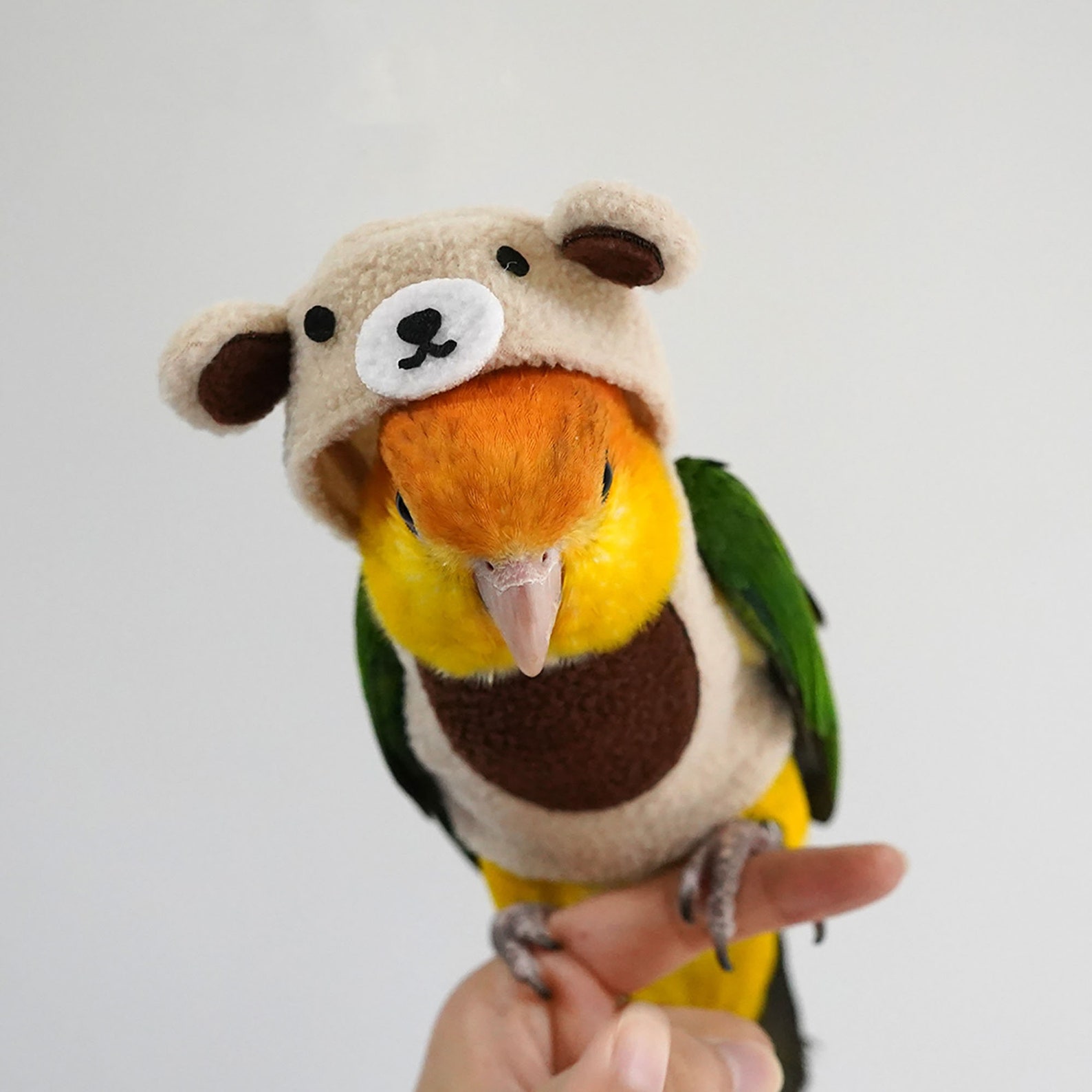 1pc Parrot Clothes Outdoor Bird Clothes Bird Costume Pet Bird