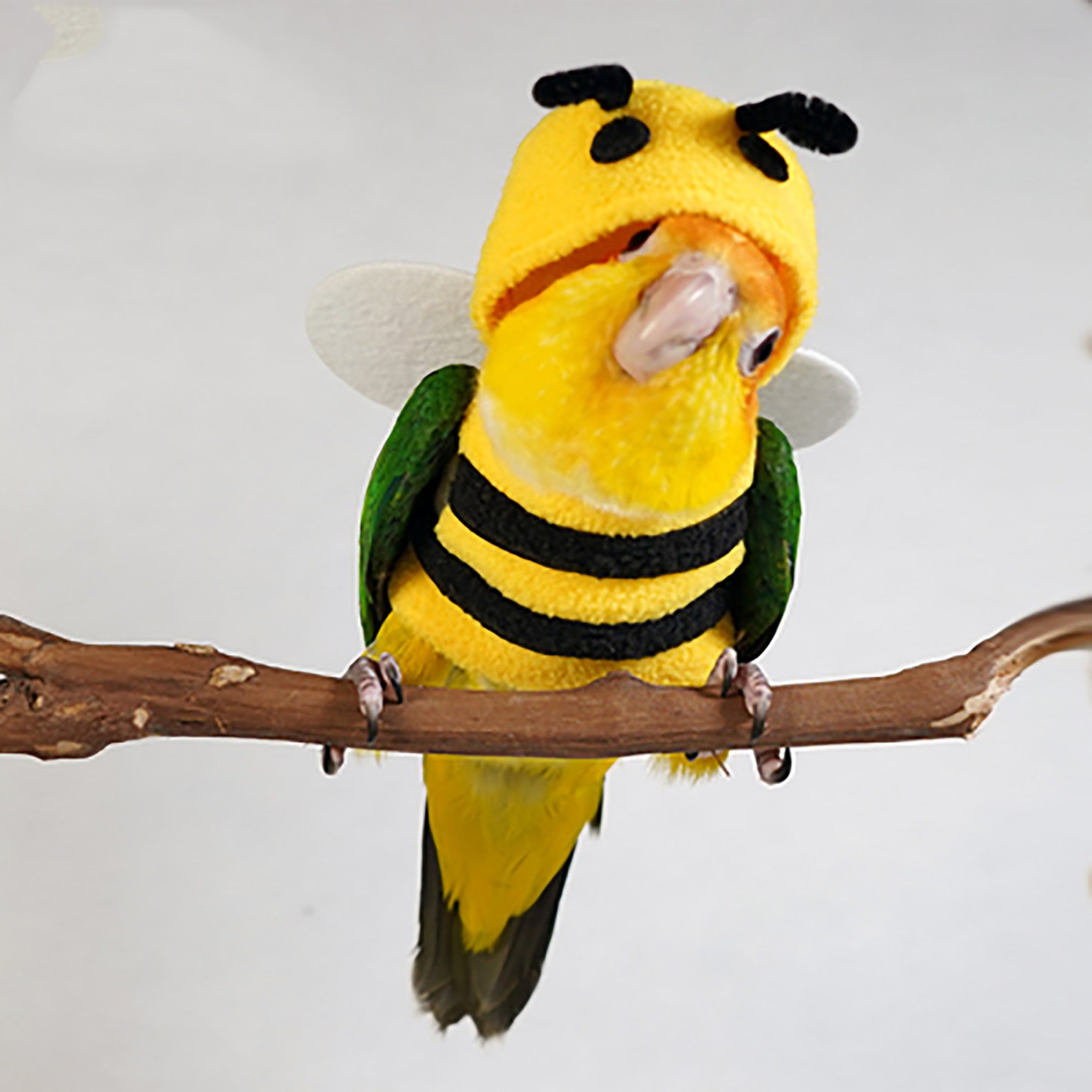 Papagei Vogel Bee Stil Kleidung Papagei warme Kleidung | Etsy