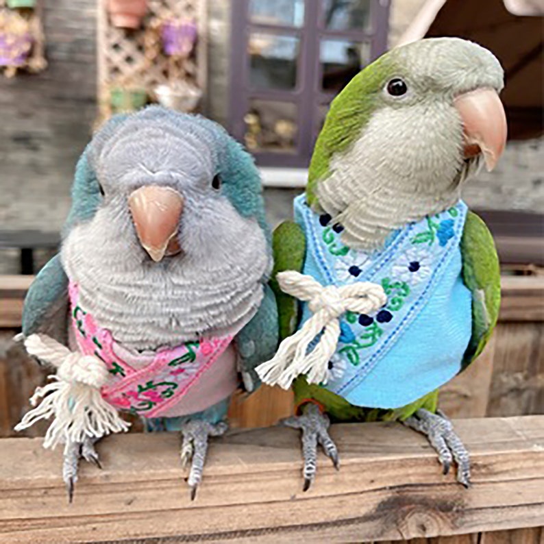 Cockatiel Parrot Clothes,Parrot Bird Flight Suit,Pet Clothes,Spring And Autumn Parrot Couple Clothes,Parrot Pink Clothes