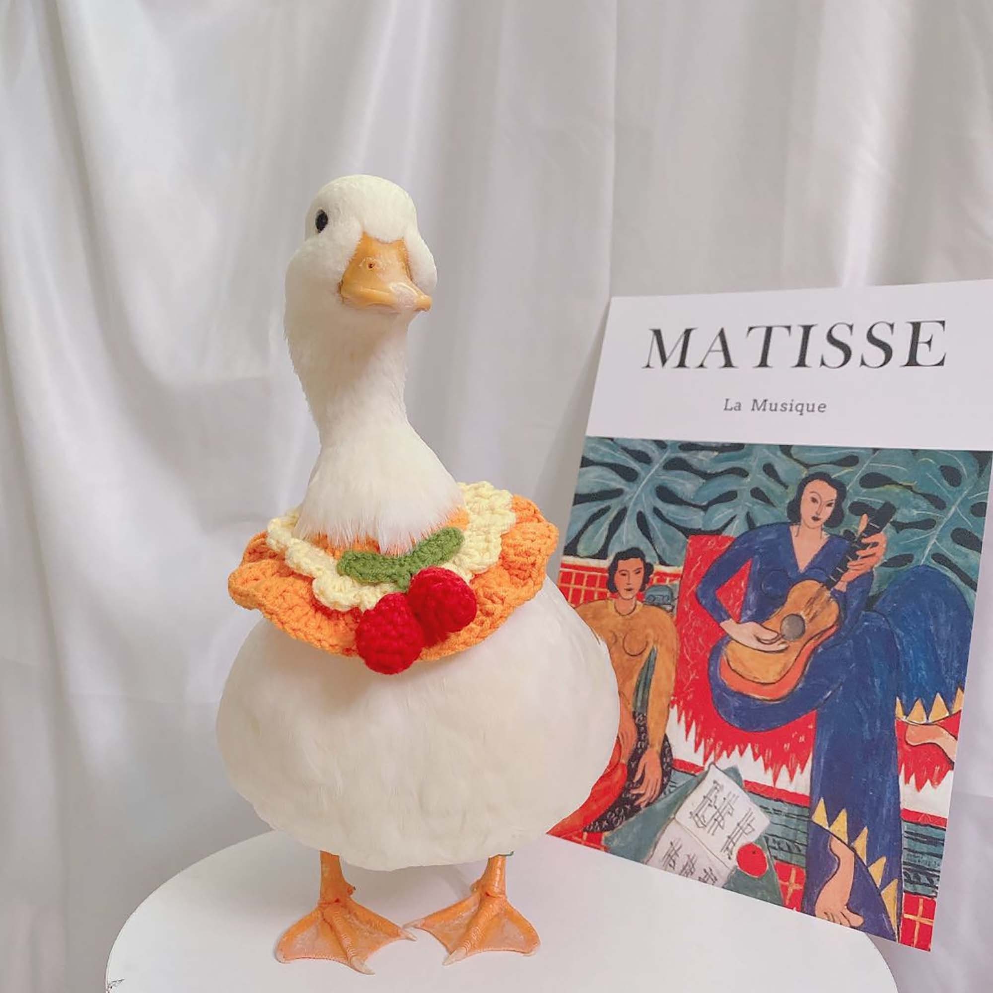 Cole Duck CollarCole Duck Cherry Fruit CollarHandmade Duck | Etsy