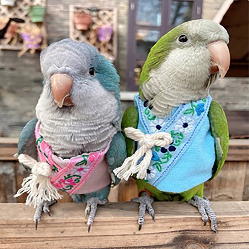 Cockatiel Parrot Clothes,Parrot Bird Flight Suit,Pet Clothes,Spring And Autumn Parrot Couple Clothes,Parrot Pink Clothes