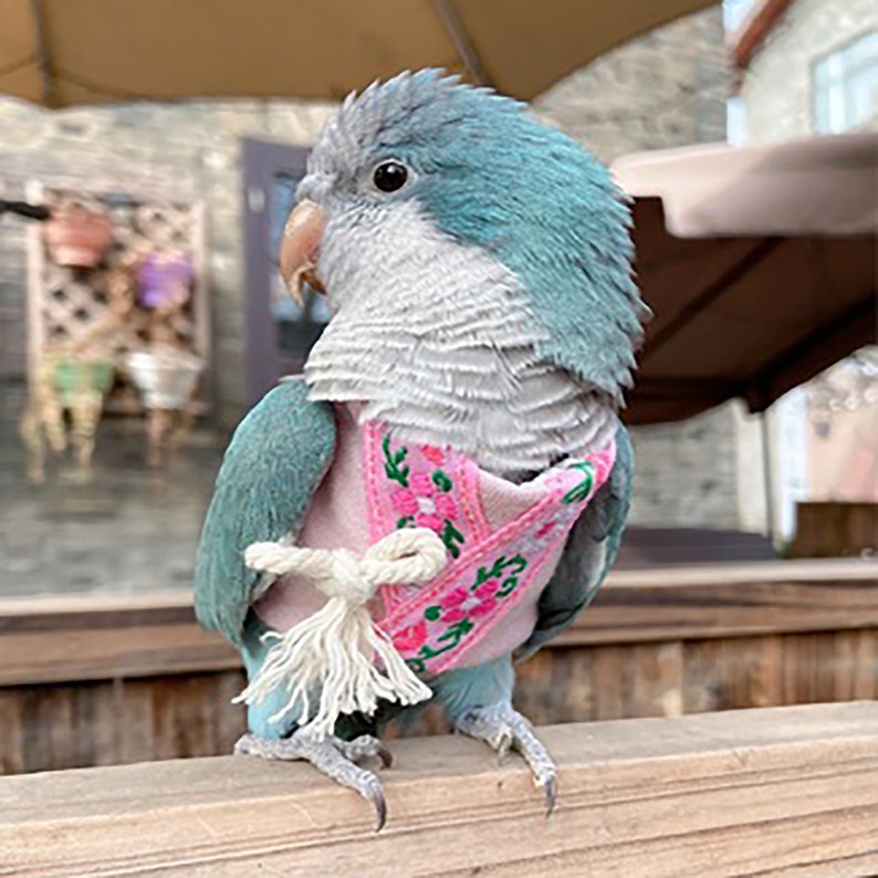 Cockatiel Parrot Clothes,Parrot Bird Flight Suit,Pet Clothes,Spring And Autumn Parrot Couple Clothes,Parrot Pink Clothes