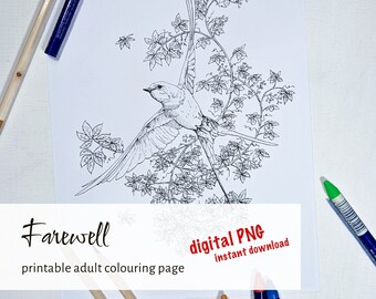 Farewell - Swallow Coloring Page | Single Printable Bird Coloring Book Page | Wildlife Art with Floral Pattern (Digital Download PNG)
