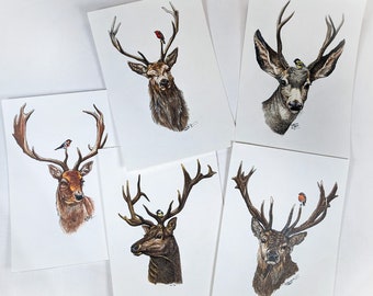 Deer and Songbird original artwork, real art set of 5 deer drawings, Irish gift for wildlife lovers, robin, blue tit and stags painting set