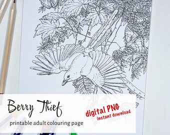 Magpie & Butterfly Coloring Page (Digital Download)