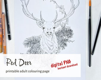 Red Deer - Téléchargement instantané de coloriage imprimable pour adultes, page de livre de coloriage, téléchargement numérique cerf cerf et coloriage floral pour adultes