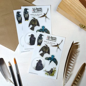 Birds of Ireland Sticker Sheet, 6er Pack Vogel Sticker, wasserfeste Vinyl Sticker, Aquarell Tier Scrapbooking, Laptop Dekor, Irisches Geschenk