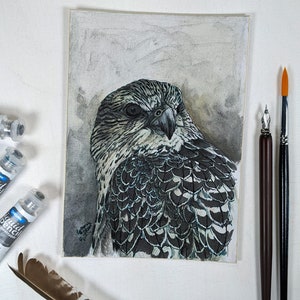 Gyrfalcon Watercolor Painting: Original Bird of Prey Art