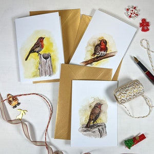 Christmas Robins card set, Christmas cards with garden birds, robin redbreast greeting cards with gold envelopes, songbird gift from Ireland