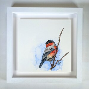Bullfinch original framed painting, Irish watercolor garden bird gift, Irish songbird art, Irish contemporary bird art