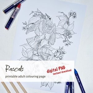 Página para colorir de estorninhos para adultos, colorir pássaros de jardim para adultos, colorir flores para adultos, página para colorir de animais, colorir animais selvagens para adultos