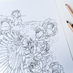 Raven coloring page with roses, adult coloring book page, crow watercolor floral coloring for adults, raven fantasy coloring sheet image 3