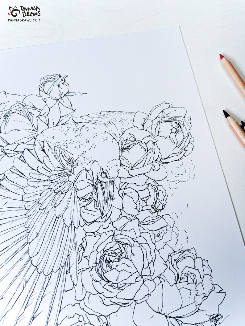 Raven coloring page with roses, adult coloring book page, crow watercolor floral coloring for adults, raven fantasy coloring sheet image 3