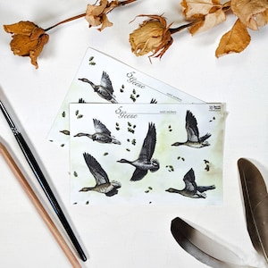 Five Geese sticker sheet, pack of 5 goose stickers, waterproof vinyl stickers, bird scrapbooking sticker, bird laptop decals, Irish gift