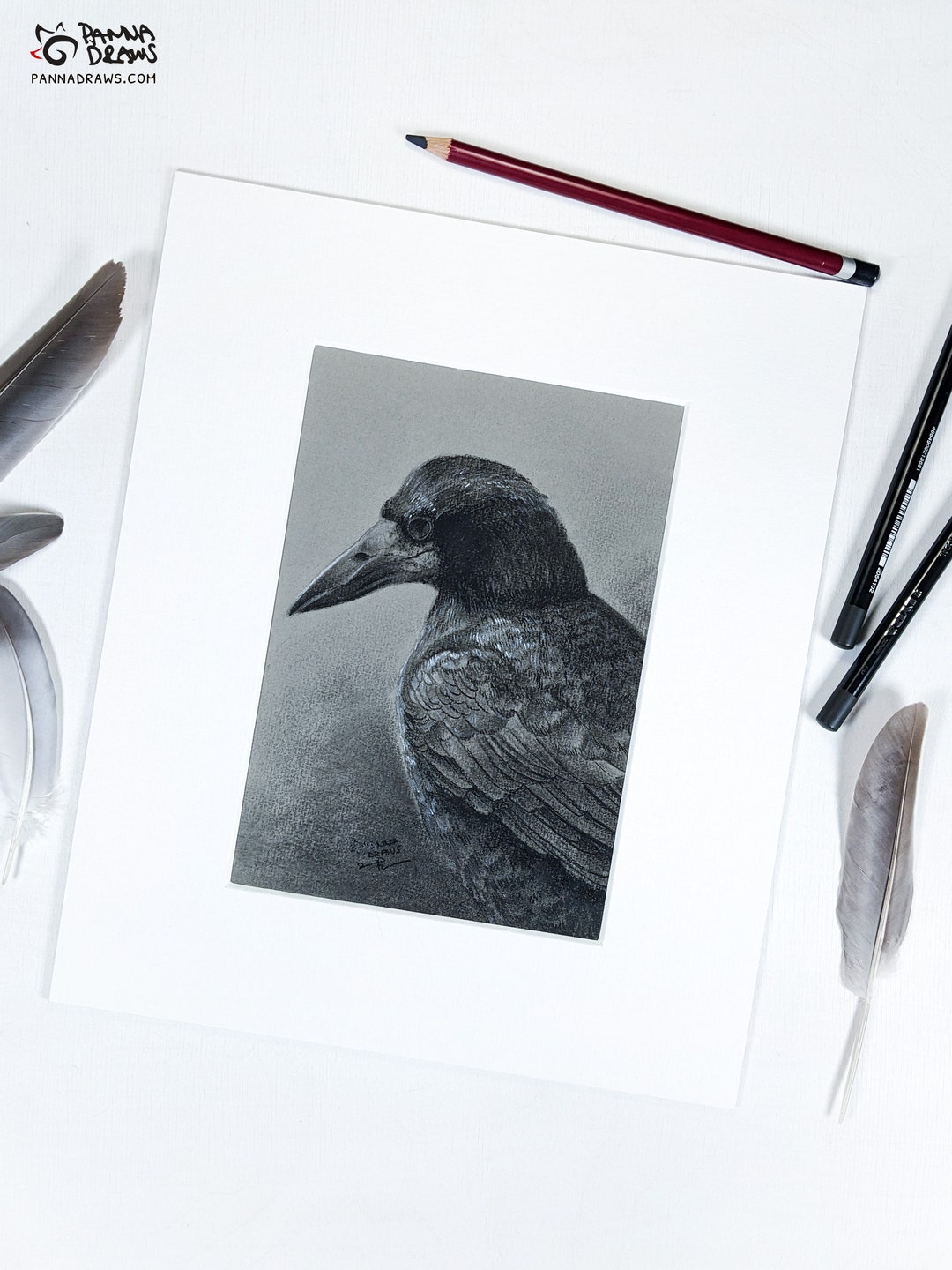 Original Rook Charcoal Drawing: Handmade Irish Bird Portrait in Mount ...