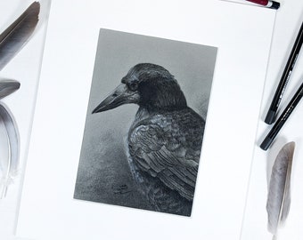 Art original de charbon de bois de tour, peinture montée par cadeau de corbeau, dessin irlandais de fusain de cadeau, portrait d'oiseau fait à la main cadeau art de corbeau de charbon de bois dans le bâti