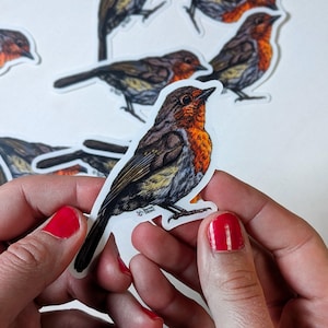 Pegatina de vinilo transparente de petirrojo, pegatina de pájaro de jardín irlandés, pegatina de pájaro petirrojo para envolver regalos, decoración de computadora portátil con pájaros