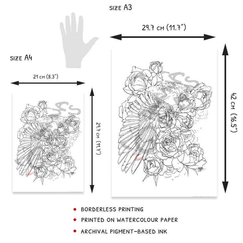 Raven coloring page with roses, adult coloring book page, crow watercolor floral coloring for adults, raven fantasy coloring sheet image 2