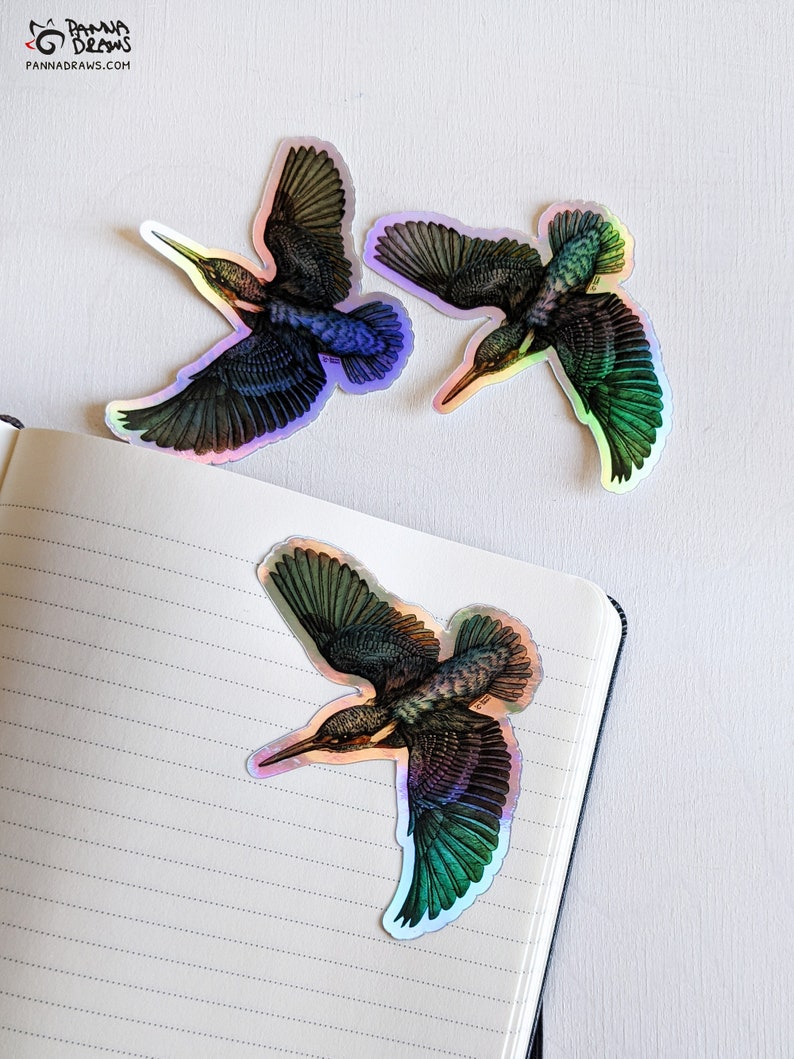 Holographic kingfisher sticker, holographic vinyl sticker, bird scrapbooking sticker, kingfisher laptop decal, Irish gift laptop decor image 4