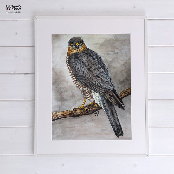 Hawk vogel print, Ierse mushawk poster, vogelliefhebber kunst cadeau, vogelaar cadeau, aquarel roofvogel muur print vogel cadeau uit Ierland