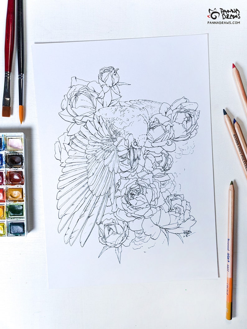 Raven coloring page with roses, adult coloring book page, crow watercolor floral coloring for adults, raven fantasy coloring sheet image 6