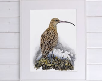 Curlew bird art poster print, shore bird decor for walls, nautical wall art beach decor, watercolor irish artwork bird print, wildlife print