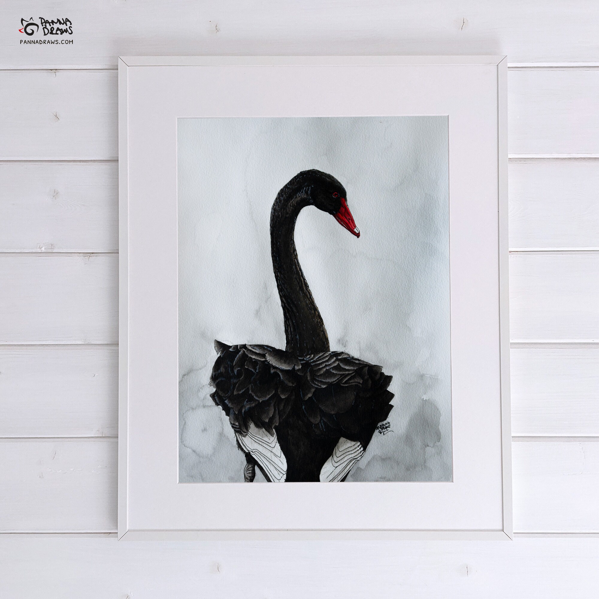 Black Swan Bird Art