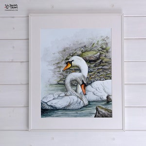 Swan pair poster print, Irish gift swan art print, white swan bird decor, romantic gift artwork watercolor print, anniversary gift for her