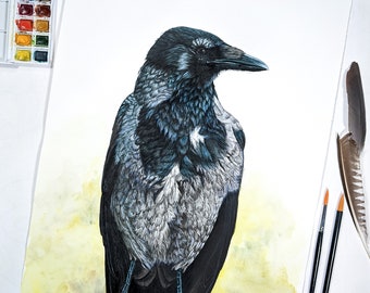 Crow original painting, hooded crow watercolor bird portrait, large bird watercolor artwork, unique bird gift, crow Irish gift from Ireland