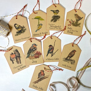 Garden Bird Kerstcadeau-tagset, 9 zangvogel-kersttags op kartonpapier, Kerst meezingvogel-tagpakket voor cadeauverpakking
