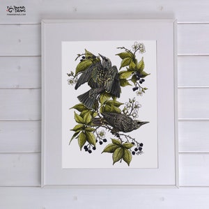 Spreeuw vogel kunst poster print, tuin vogels poster bloemsierkunst print, vogelliefhebber cadeau aquarel print voor muren, vogel kunstwerk cadeau voor haar