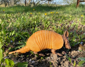 Armadillo  Armadillo figurine  Wood carved animal Armadillo statue Texas armadillo Wood animal figurines Carved armadillo  Armadillo art