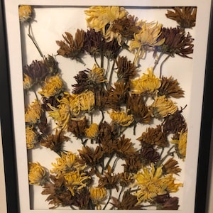 Pressed flower frame