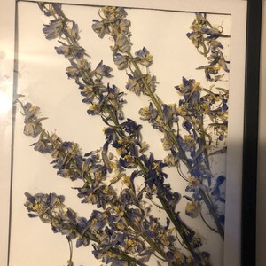 Pressed flower frame
