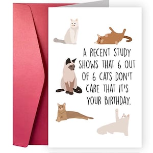 Funny Cat Birthday Card – “6 Out of 6 Cats Don’t Care” – Humorous Cat Lover Greeting Card with Envelope