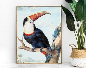 toucan print - tropical home decor, toucan gifts, bird painting wall art, tropical print, vintage bird print, watercolour bird art, giclee