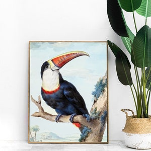 toucan print - tropical home decor, toucan gifts, bird painting wall art, tropical print, vintage bird print, watercolour bird art, giclee
