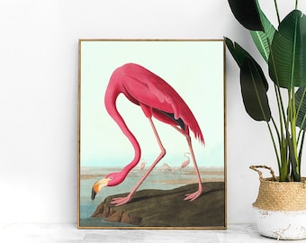 pink flamingo print - tropical home decor, flamingo gifts, bird painting wall art, tropical print, vintage bird print, canvas art for home